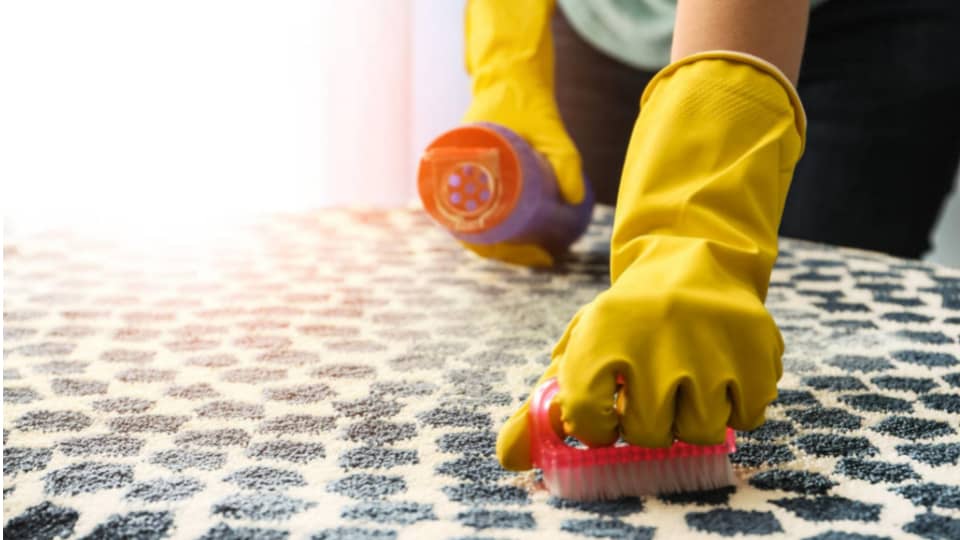 how to clean mould from carpet