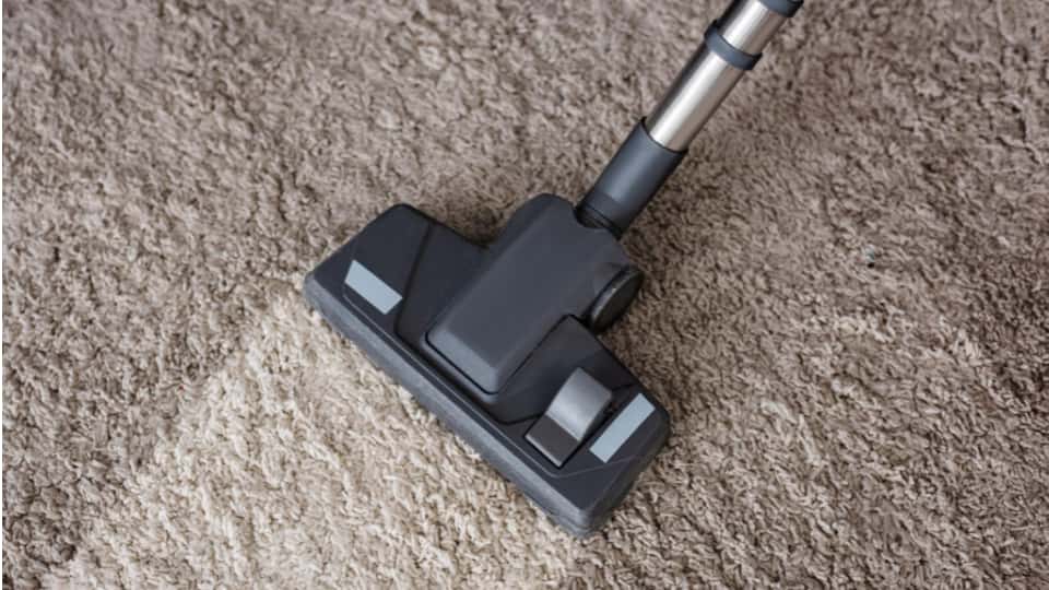 how to get rid of moths in carpet
